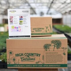 August Afternoons Pre-Planned Garden -Plant Finder Shop august ppg ship