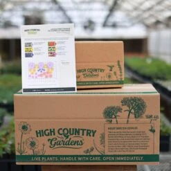 Butterfly Paradise Pre-Planned Cottage Garden 17 Butterfly Paradise Pre-Planned Cottage Garden -Plant Finder Shop butterfly ppg ship