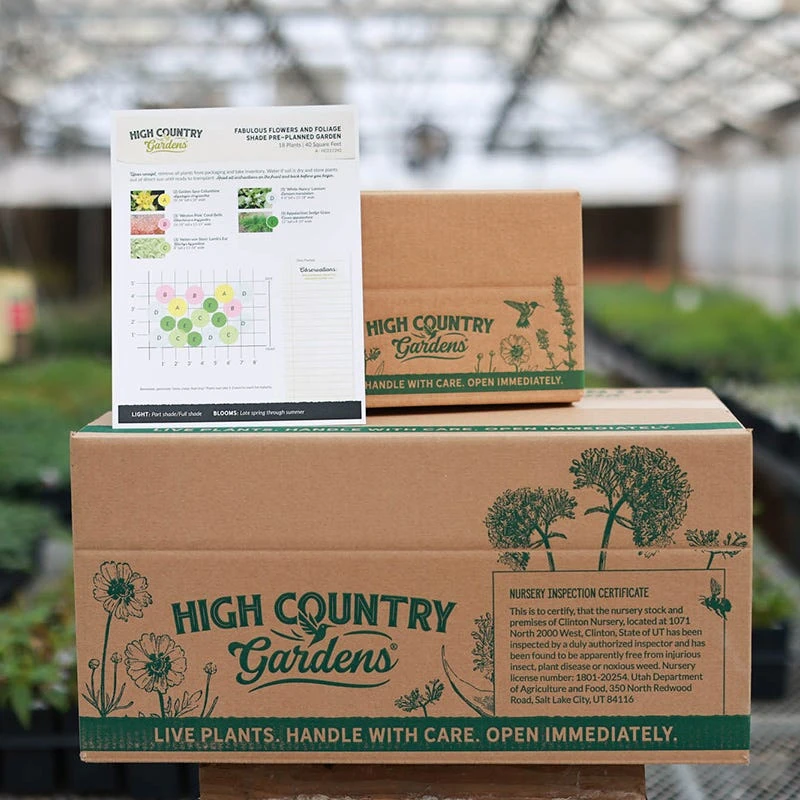 Fabulous Flowers & Foliage Shade Pre-Planned Garden 9 Fabulous Flowers & Foliage Shade Pre-Planned Garden - Image 7