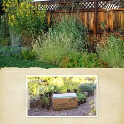 Habitat Hero Birdwatcher Pre-Planned Garden -Plant Finder Shop habitat hero before after