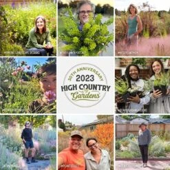 May Night Salvia 13 May Night Salvia -Plant Finder Shop hcg pdp persuasion social proof v3 1 1 9