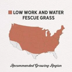 Low Work And Water Dwarf Fescue Grass Seed -Plant Finder Shop low work and water seed mix regions
