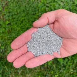 Microclover Seed (Pelleted) 11 Microclover Seed (Pelleted) -Plant Finder Shop microclover pellets sq