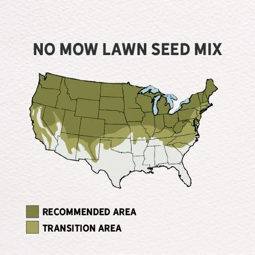No Mow Lawn Grass Seed 9 No Mow Lawn Grass Seed - Image 7