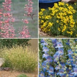 High Country Gardens Signature Collection -Plant Finder Shop spring high country garden signature collection